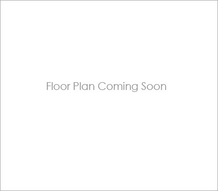 Image Coming Soon